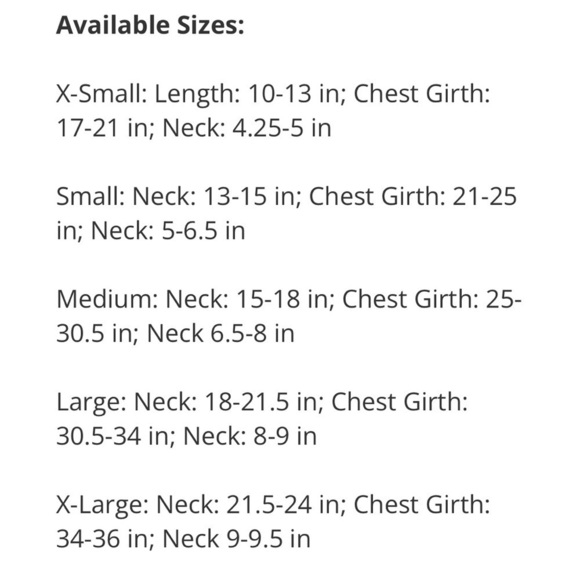 Top Paw Drinking Buddy Beer Graphic Dog Tee L - Picture 6 of 8